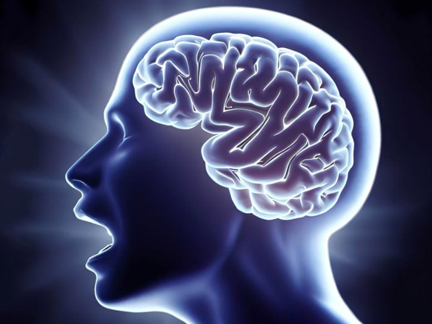 听力快讯丨失语者的福音?科学家解码大脑隐藏的语言信号-杭州听工场科技有限公司