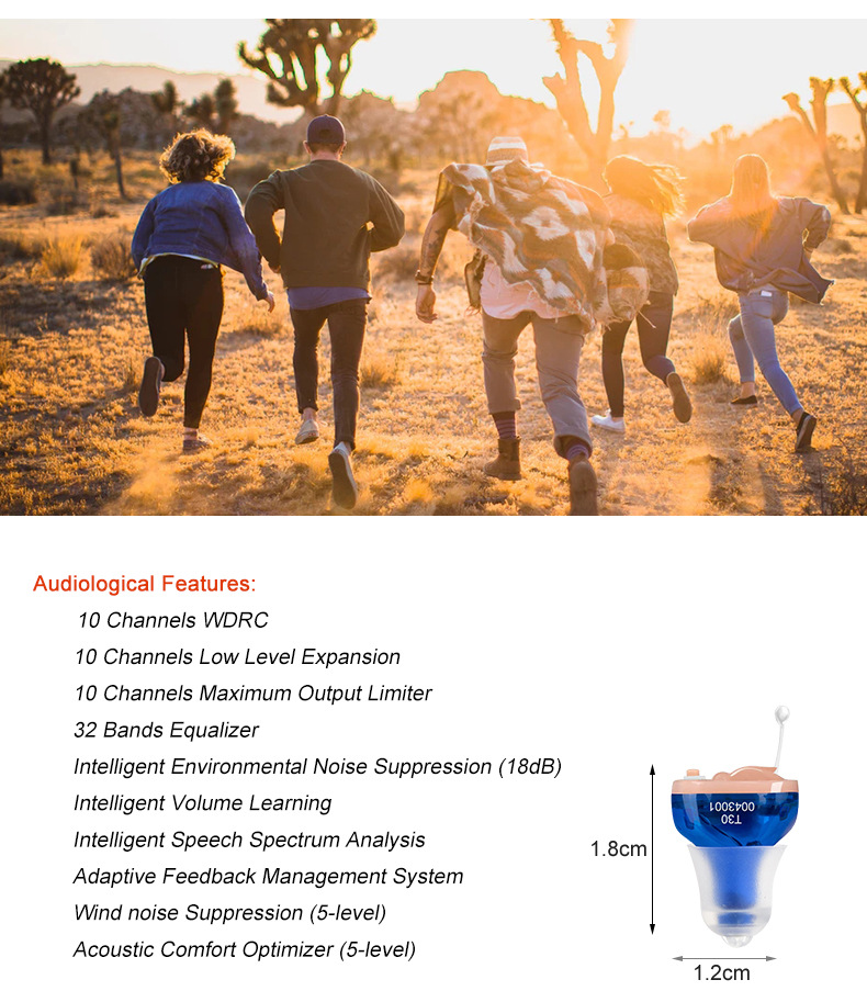 Healthcare Supply Factory A10 Battery Digital Mini Nano Specialized Hearing Aids for the Deaf product detail