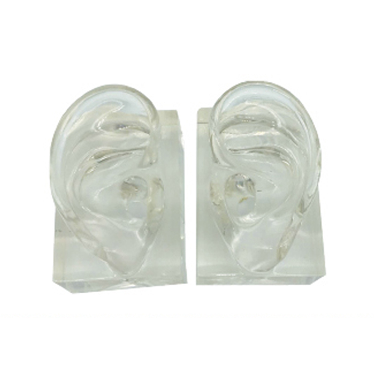 Transparent Hard Silicone Artificial Human Ear Simulator for Hearing Center Display product detail