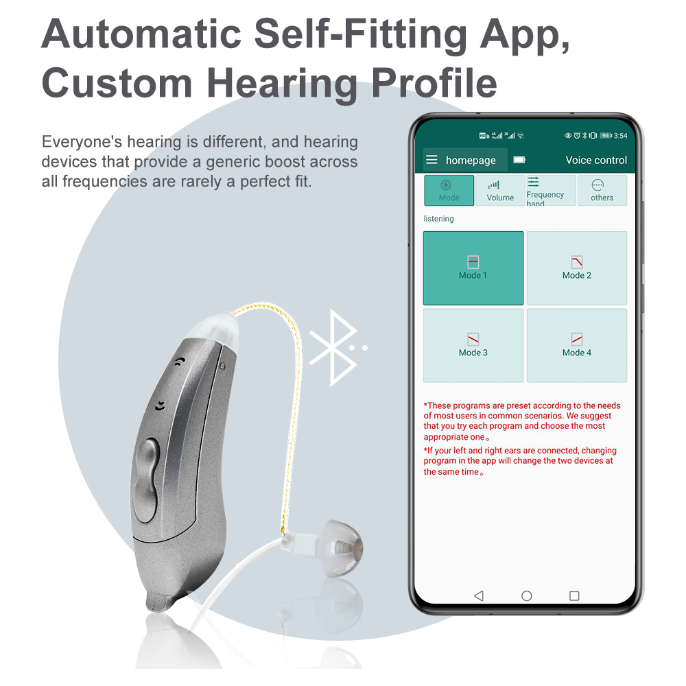 High Quality Digital Ear Buds Hearing Aids with Self Fitting RIC Hearing Device product detail