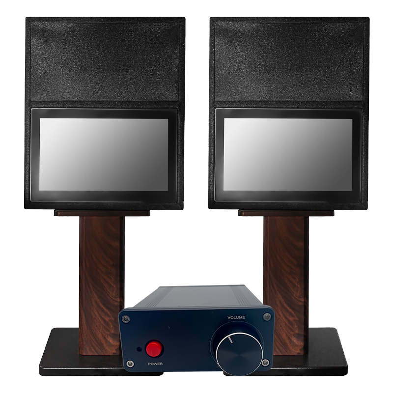 Tingoton Simple VRA Model 1019 High Quality Integrated Visual Reinforcement Audiometry System Amplivox Machine China Severe product detail