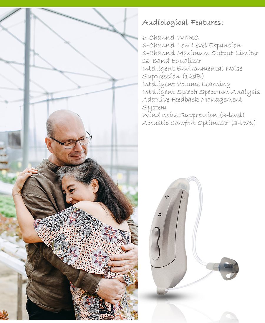 Cheap Digital TINGOTON GLS-WL2 RIC Hearing Aid for Severe Hearing Loss Deaf Adults 6 Channels Noise Reduction Feedback product detail