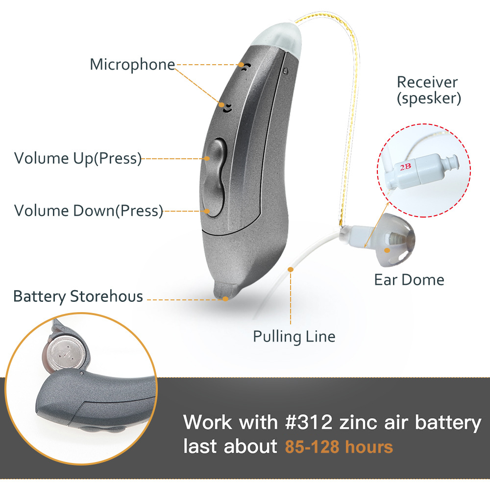 High Quality Digital Ear Buds Hearing Aids with Self Fitting RIC Hearing Device product detail