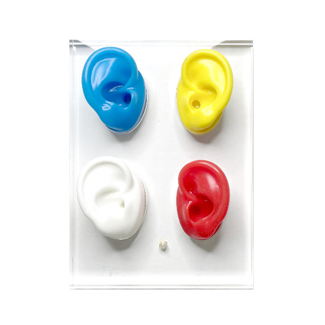 OEM/ODM Clear Acrylic Ear Display with Silicone Ear for Hearing Aids Stylish Head Style for Store Display product detail