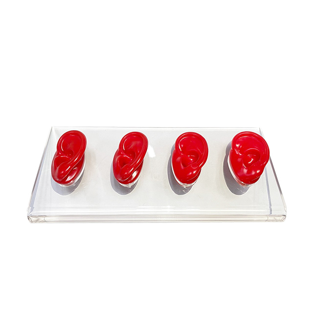 OEM/ODM Clear Acrylic Ear Display with Silicone Ear for Hearing Aids Stylish Head Style for Store Display product detail