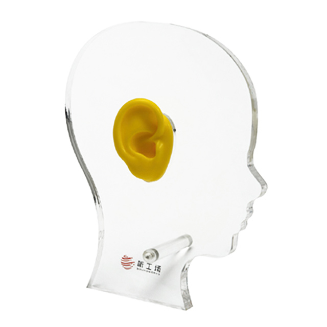 OEM/ODM Clear Acrylic Ear Display with Silicone Ear for Hearing Aids Stylish Head Style for Store Display product detail