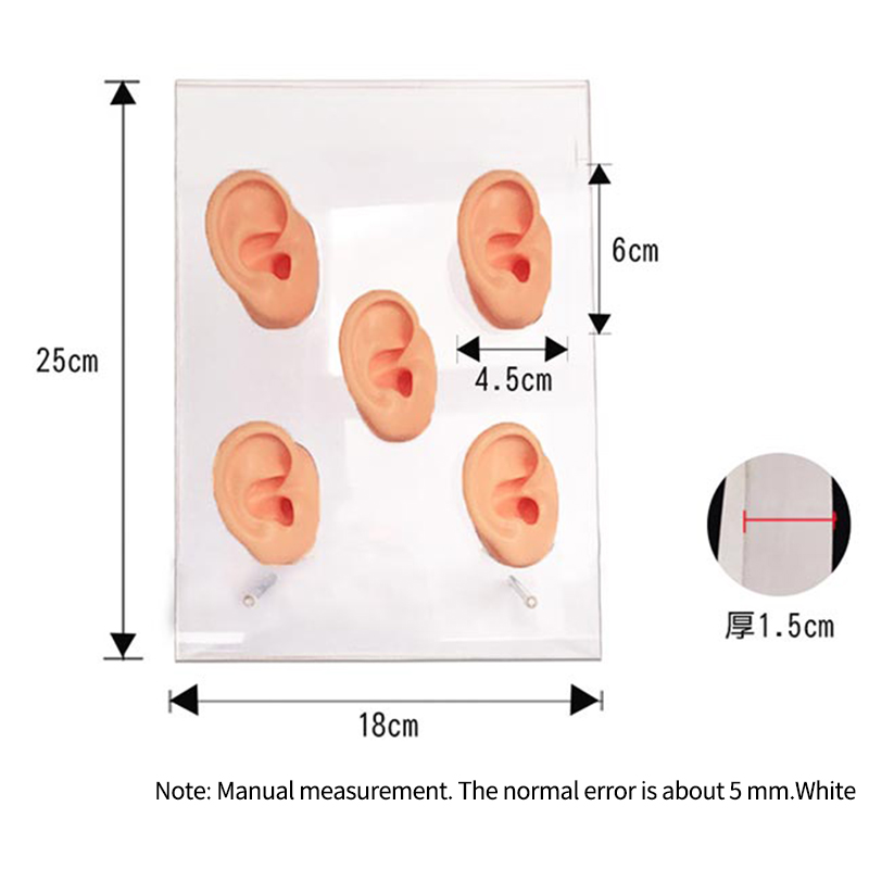 OEM/ODM Clear Acrylic Ear Display with Silicone Ear for Hearing Aids Stylish Head Style for Store Display product detail