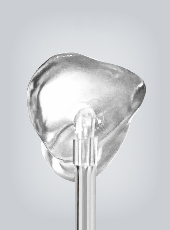 Professional Supplier's Universal BTE Resin Material Hard Hearing Aid Ear Mold Specific for Human Use product detail