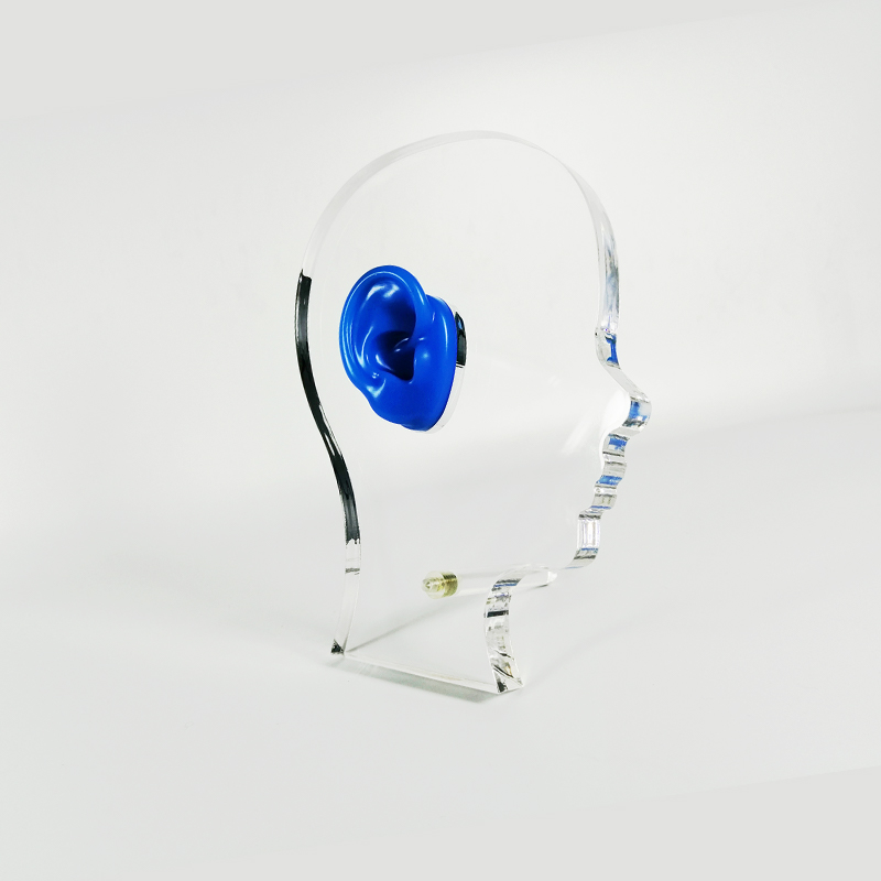 OEM/ODM Clear Acrylic Ear Display with Silicone Ear for Hearing Aids Stylish Head Style for Store Display product detail