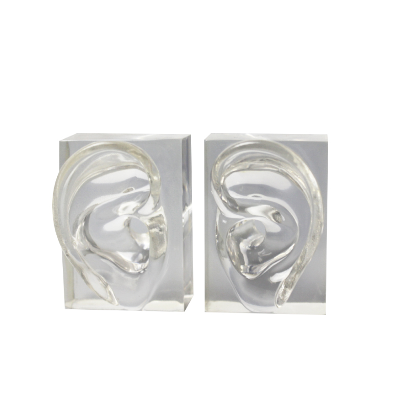 Transparent Hard Silicone Artificial Human Ear Simulator for Hearing Center Display product detail