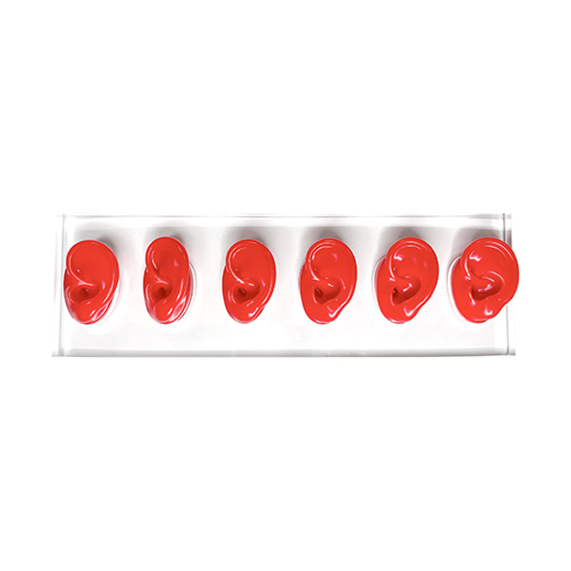 OEM/ODM Clear Acrylic Ear Display with Silicone Ear for Hearing Aids Stylish Head Style for Store Display product detail